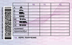 Пример обратной стороны водительского удостоверения